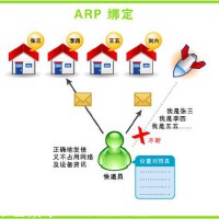 Arp圖片照片_Arp
