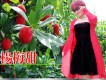 紅陌歌曲歌詞大全_紅陌最新歌曲歌詞