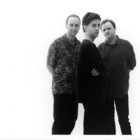 The Necks圖片照片_The Necks