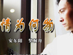 安東陽&樊桐舟歌曲歌詞大全_安東陽&樊桐舟最新歌曲歌詞