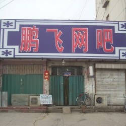 鵬飛圖片照片_鵬飛