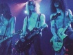 GUNS N  ROSES圖片照片_GUNS N  ROSES