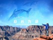 蘇丹歌曲歌詞大全_蘇丹最新歌曲歌詞