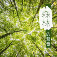 森林的聲音 - 蟲鳴鳥叫，大自然聲音為了放鬆身體和早操
