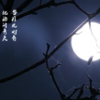 流星思念圖片照片_流星思念