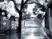 愛你一輩子歌詞_付祥龍愛你一輩子歌詞