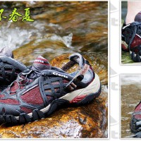 Waterclime圖片照片