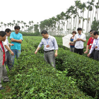 林憶忠圖片照片_林憶忠