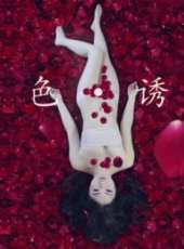 宋佳最新電影_宋佳電影全集線上看_好看的電影