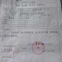 董佳佳圖片照片_董佳佳