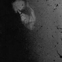 Xasthur圖片照片_Xasthur