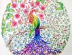 Secret Garden圖片照片_Secret Garden