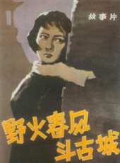 王曉棠演過的電影電視劇線上看_影視作品大全_好看的明星