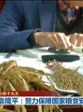 新聞聯播最新一期線上看_全集完整版高清線上看_好看的綜藝
