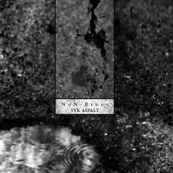 Northaunt圖片照片_Northaunt