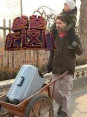 最新2014其它卡通片_2014其它卡通片大全/排行榜 - 蟲蟲動漫