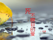 可澤歌曲歌詞大全_可澤最新歌曲歌詞