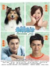 陶帥演過的電影電視劇線上看_影視作品大全_好看的明星