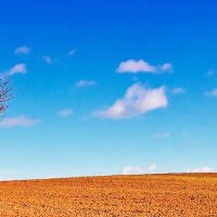 Solitude圖片照片_Solitude