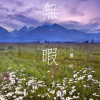 靈昕最新歌曲_最熱專輯MV_圖片照片