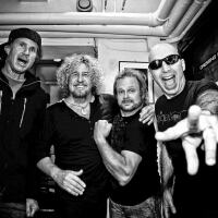 Chickenfoot圖片照片_Chickenfoot