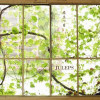 JULEPS最新歌曲_最熱專輯MV_圖片照片