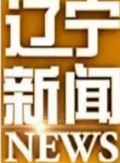 遼寧新聞最新一期線上看_全集完整版高清線上看 - 蟲蟲綜藝