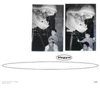 Vegyn歌曲歌詞大全_Vegyn最新歌曲歌詞