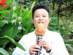 何藝輝歌曲歌詞大全_何藝輝最新歌曲歌詞