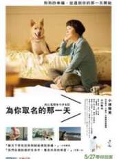 小林聰美演過的電影電視劇線上看_影視作品大全_好看的明星