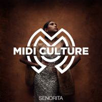 Midi Culture圖片照片_照片寫真