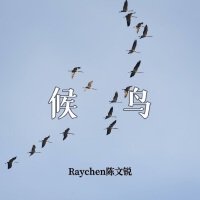 Raychen陳文銳圖片照片_照片寫真