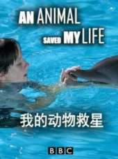 BBC：我的動物救星線上看_全集高清完整版線上看_分集劇情介紹_好看的電視劇