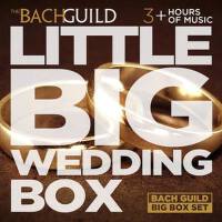 Little Big Wedding Box專輯_Antonio JanigroLittle Big Wedding Box最新專輯
