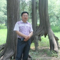 徐冉圖片照片_徐冉