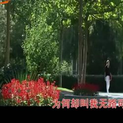 縭聽風圖片照片_縭聽風