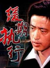 楊麗萍演過的電影電視劇線上看_影視作品大全_好看的明星