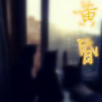 柳晨歌曲歌詞大全_柳晨最新歌曲歌詞