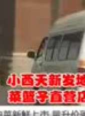 7日7頻道最新一期線上看_全集完整版高清線上看_好看的綜藝