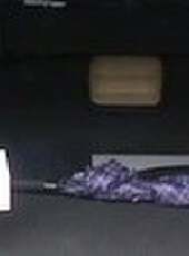 遼寧新聞最新一期線上看_全集完整版高清線上看 - 蟲蟲綜藝