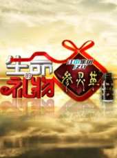了不起的匠人 第二季最新一期線上看_全集完整版高清線上看_好看的綜藝