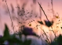 Zona Música Relaxante歌曲歌詞大全_Zona Música Relaxante最新歌曲歌詞