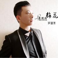 羅邏聖圖片照片_羅邏聖