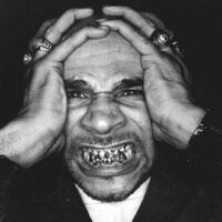 Goldie圖片照片_Goldie