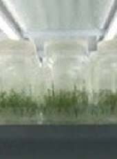 遼寧新聞最新一期線上看_全集完整版高清線上看 - 蟲蟲綜藝