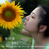 夏蒅七最新歌曲_最熱專輯MV_圖片照片