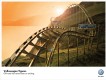 Roller Coaster圖片照片
