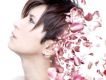 野に咲く花のように（像野外盛開的花一樣）