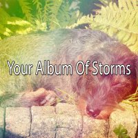 Relaxing Rain Sounds歌曲歌詞大全_Relaxing Rain Sounds最新歌曲歌詞
