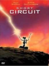 艾爾利·沙迪演過的電影電視劇線上看_影視作品大全_好看的明星